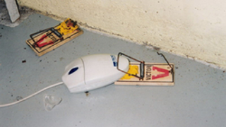 Computer Mouse R.I.P. In Five Years, Experts Say